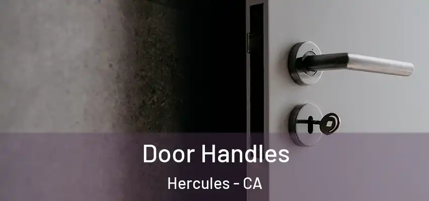  Door Handles Hercules - CA
